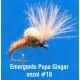 Emergente Pupa Ginger